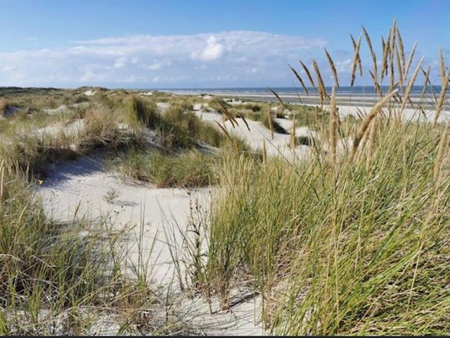 Seeblick Lachmoewe, Exklusive Lage In Strandnaehe ヴァンガーオーゲ エクステリア 写真